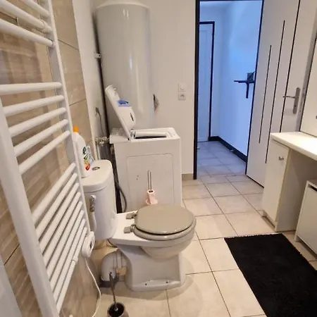 Apartment Studio Maison Avec Cour Pres De Pau Centre *
